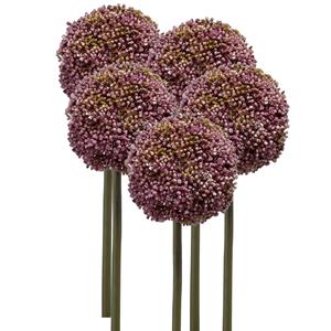 Emerald Allium/Sierui kunstbloem - 5x - losse steel - paars - 75 cm - Natuurlijke uitstraling -