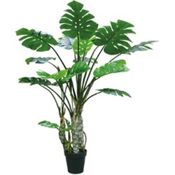 Buitengewoon de boet Kunstplant Monstera 4 stam 170 cm - 
