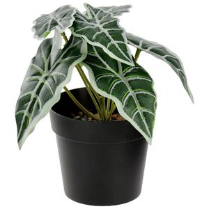 Kunstplant Dayana; 18 cm (H); groen/zwart