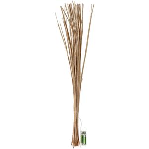 Palmbladtakken Abeba met LED's; 80 cm (L); goud
