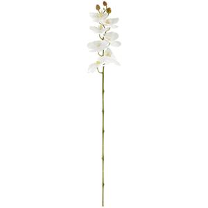 Vega Orchideeëntak Mabou; 95 cm (L); wit/groen
