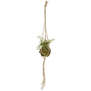 Mosbal Hina; 15x26 cm (ØxH); groen