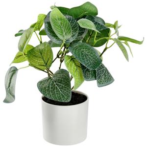 Kunstplant Elano; 25 cm (H); groen/wit