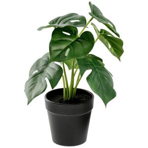 Kunstplant Nivia; 25 cm (H); groen/zwart