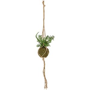 Mosbal Hina; 16x28 cm (ØxH); groen