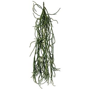 Hangplant Fiza; 50 cm (H); groen