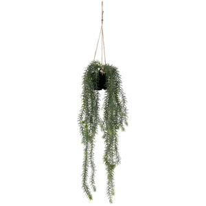 Hangplant Hiba; 80 cm (H); groen/zwart