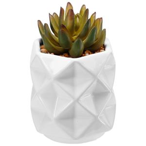 Kunstplant Laiba groen/wit; 9x13 cm (ØxH); groen/wit