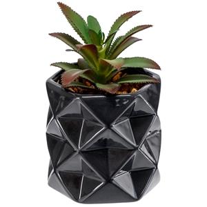 Kunstplant Laiba groen/zwart; 9x15 cm (ØxH); groen/zwart