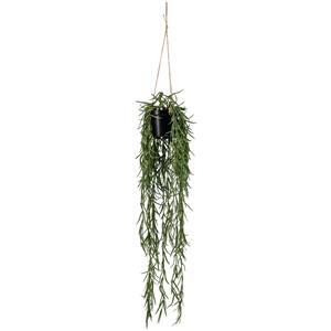 Hangplant Haniya; 55 cm (L); groen/bruin