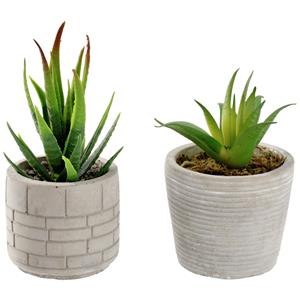 Kunstplanten set Afia; 6.5x14 cm (ØxH); grijs/groen