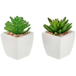 Set kunstplanten Afra; 5.5x11.5 cm (ØxH); wit/groen