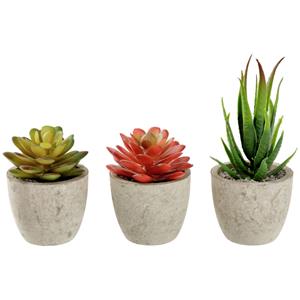 Kunstplanten set Afeni; 6.5x14 cm (ØxH); grijs/groen