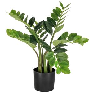 Vega Zamifolia Misaki; 45 cm (H); groen/zwart