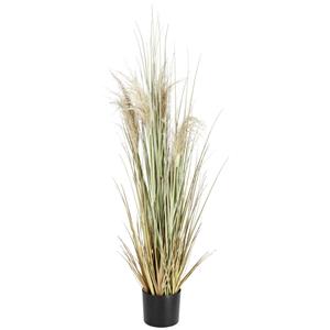 Vega Pampasgras Sanaja; 156 cm (H); groen/naturel/zwart