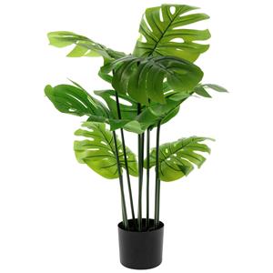 Vega Monstera Michiko; 90 cm (H); groen/zwart
