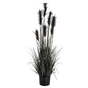 Vega Grasstruik Sanjah; 126 cm (H); zwart