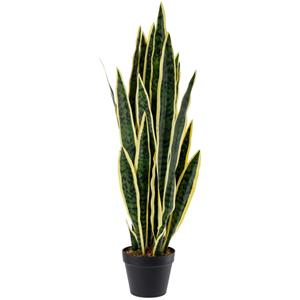 Vega Sansevieriaplant Kiran; 86 cm (H); groen/zwart