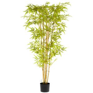 Vega Bamboeplant Abir; 170 cm (H); groen/bruin/zwart
