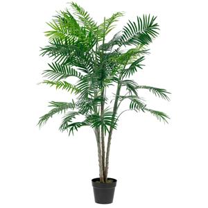 Vega Palmplant Amara; 150 cm (H); groen/bruin