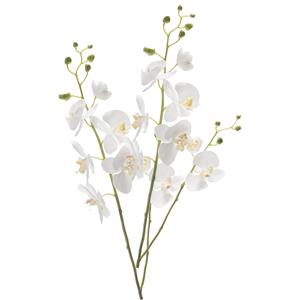 Emerald Kunstbloem Orchidee - 2x - 95 cm - wit - losse tak - kunst zijdebloem - Phalaenopsis -