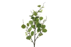 Countrylifestyle Kunst tak Eucalyptus Narvik groen 92 cm