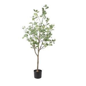 Countrylifestyle Eucalyptus Groen L