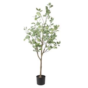 Countrylifestyle Eucalyptus Groen XL