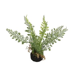Countrylifestyle Kunstplant Asparagus groen S