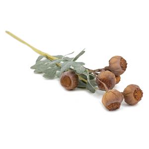 Countrylifestyle Papaver Boeketje Naturel