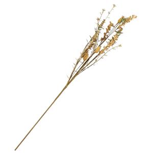 Homebound Veldboeketje papaver gold