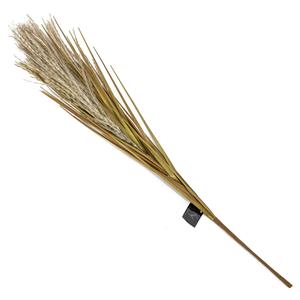 Countrylifestyle Pampas tak -2