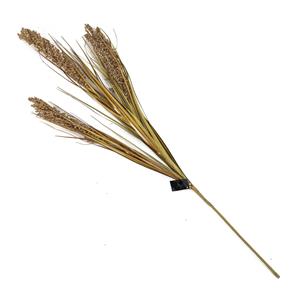 Countrylifestyle Tarwegras bruin