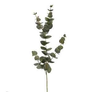 Countrylifestyle Eucalyptus green 131014