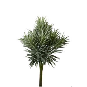 Countrylifestyle Kunstbloem Succulent spiky 32cm