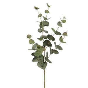 Countrylifestyle Eucalyptus green 131125