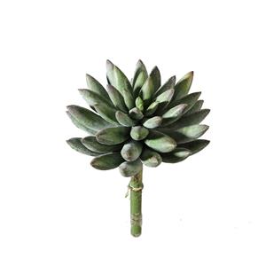 Countrylifestyle Kunstbloem Succulent 131176