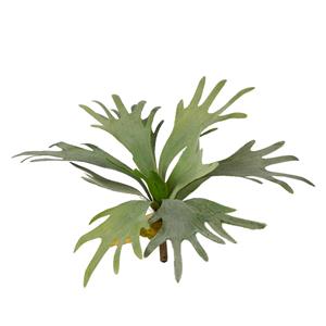 Countrylifestyle Kunstbloem Staghorn