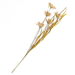 Countrylifestyle Gerbera oudroze