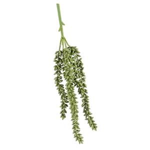 Countrylifestyle Erwten plant groen