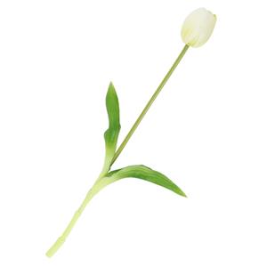 Homebound Kunst Tulp real touch wit/groen