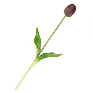 Homebound Kunst Tulp real touch aubergine