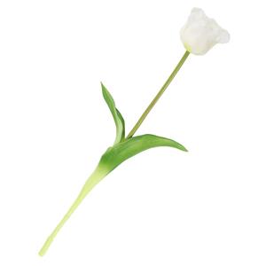 Homebound Kunst Tulp open real touch wit