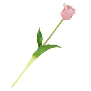 Homebound Kunst Tulp open real touch roze