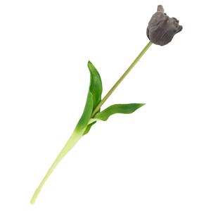 Homebound Kunst Tulp open real touch grijs