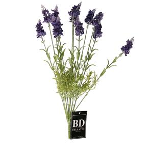 Bellatio Design kunstbloem bos Lavendel/lavendula - cm - donkerblauw - kunst zijdebloem -