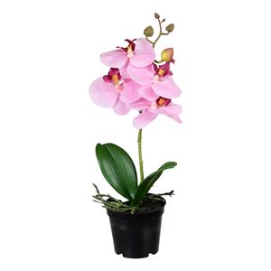 Louis Maes Orchidee bloemen kunstplant op plug - bloemen/bloemetjes - roze/groen - H33 cm -