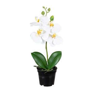 Louis Maes Orchidee bloemen kunstplant op plug - bloemen/bloemetjes - wit/groen - H33 cm -