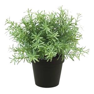 Emerald Kunstplant/kruiden rozemarijn - in terracotta pot - 22 cm - kruiden -