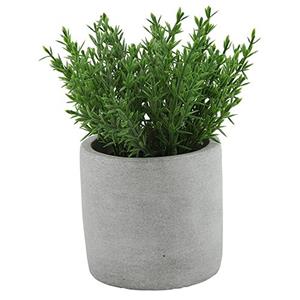 Countryfield Kunstplant/kruiden thijm -  - in grijs cement potje - 19 cm - kruiden -